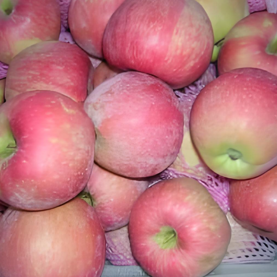 Fresh Crisp Red Apples Wholesale