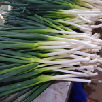 Export Natural Great Value Chinese Shandong Long Fresh Green Onion