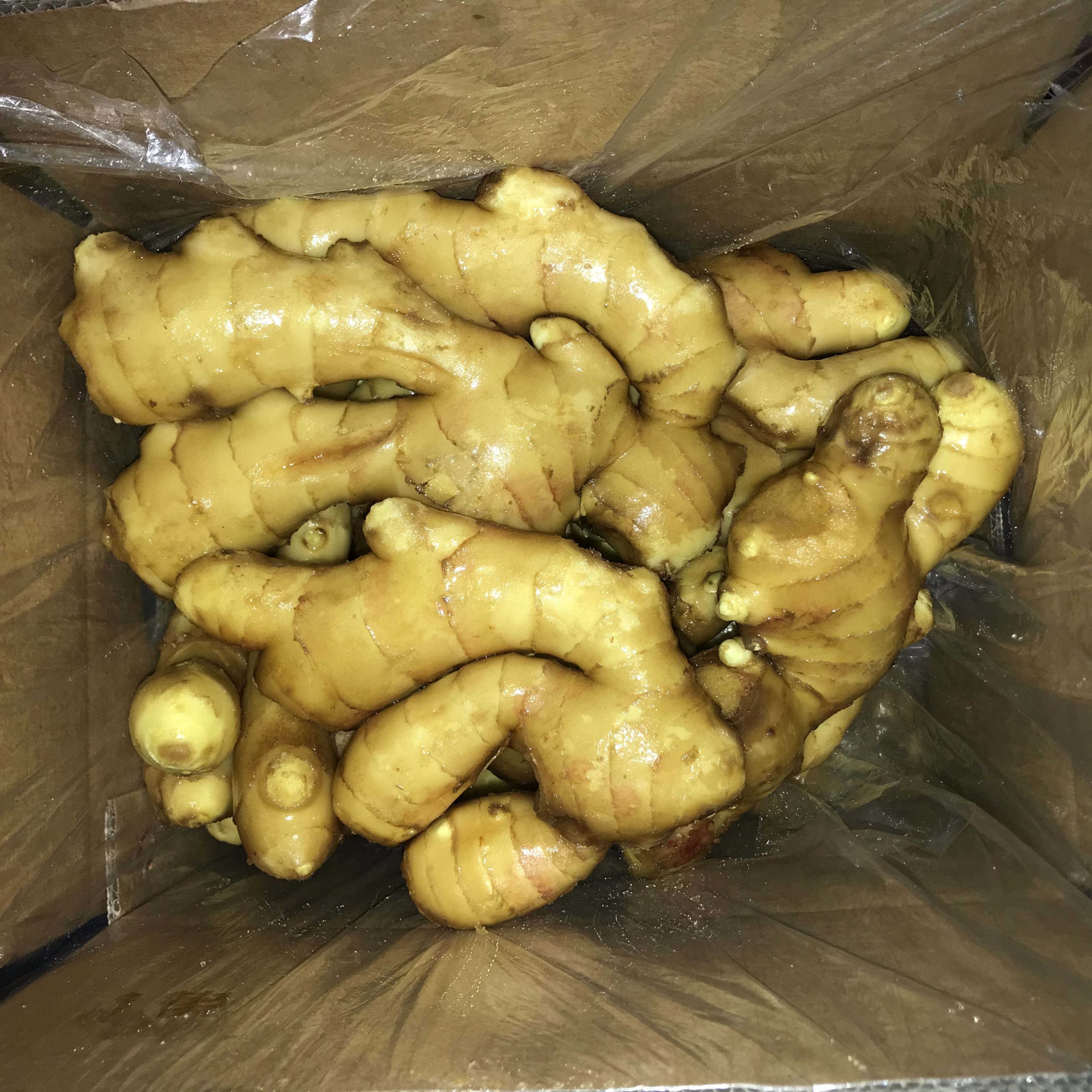 Ginger From Factory Good Quality Fresh GInger