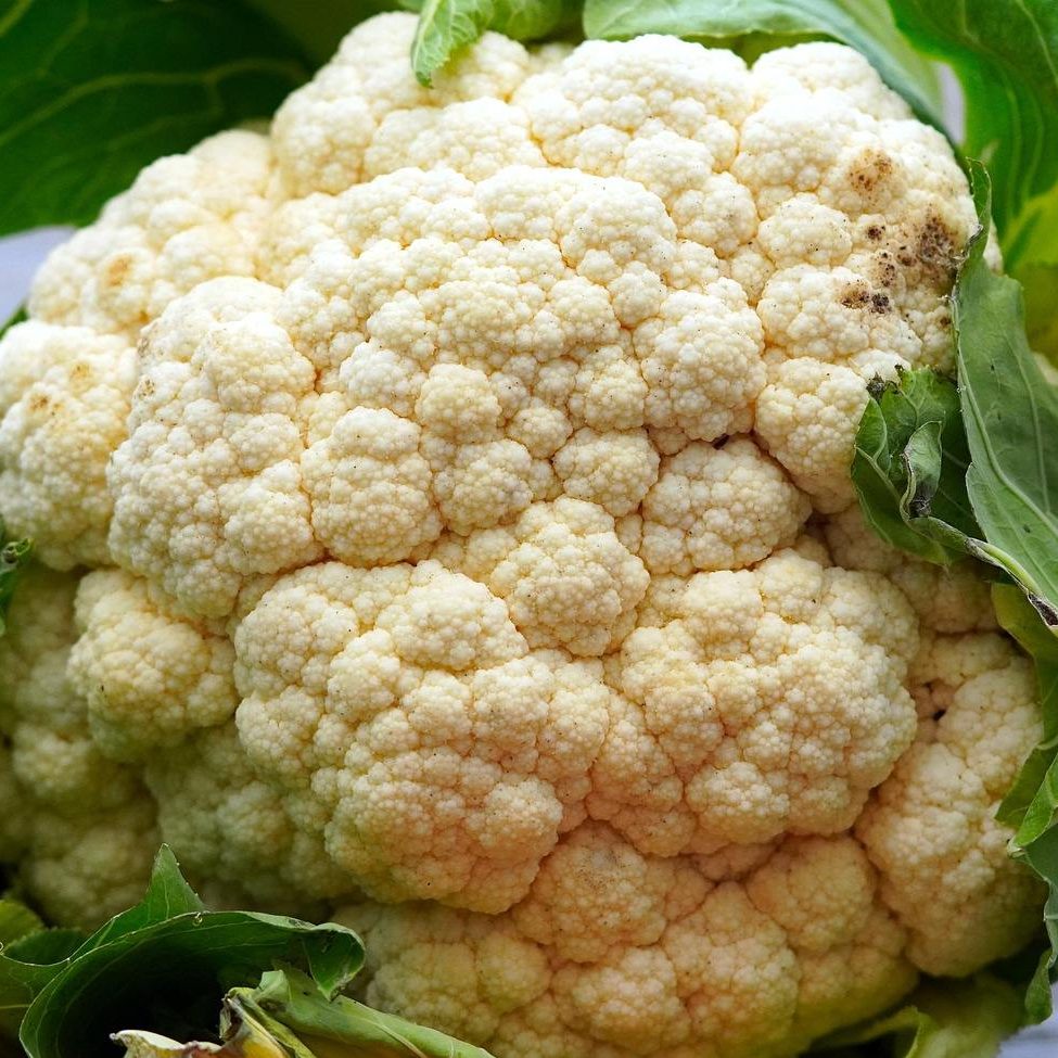 IQF white Cauliflower