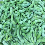 IQF Frozen Organic Edamame Beans