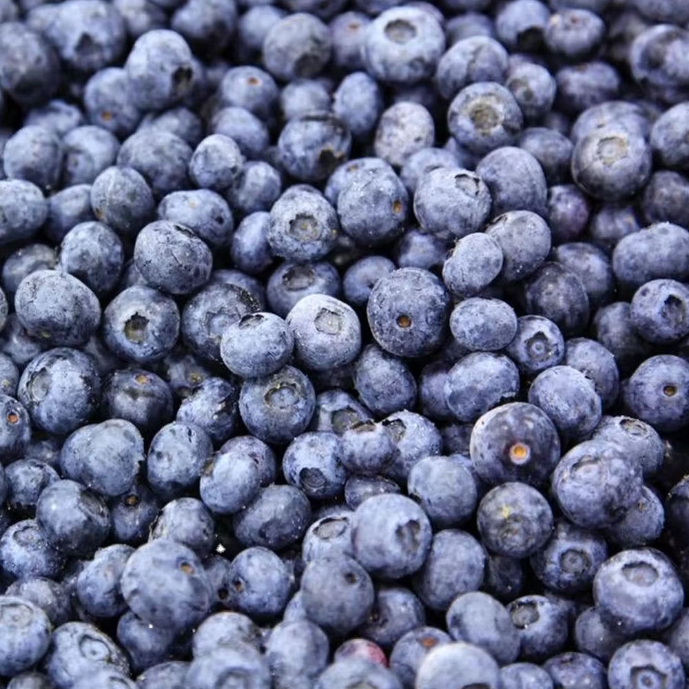 Bulk Frozen Blueberry IQF Whole 6-12mm