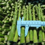 IQF Frozen Vegetables Whole Frozen Green Asparagus