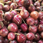 IQF Frozen peeled whole onion