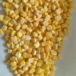 Fresh Frozen Sweet Corn